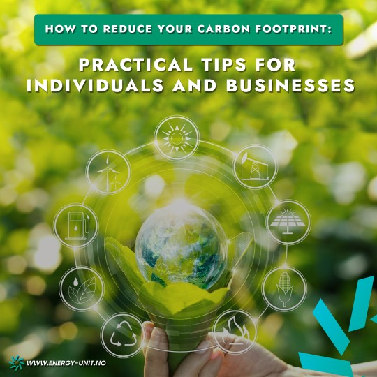 Reduce Your Carbon Footprint Tips for Individuals and Businesses